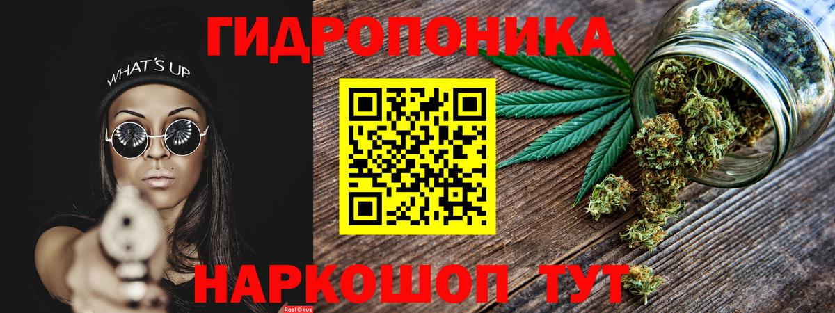 Шишки марихуана сатива  Вход с VPN  Удомля  Марихуана сатива  Бошки марихуана марихуана 